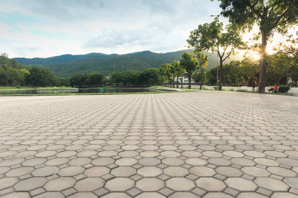 Best Residential Driveway Paver Services  in Shrewsbury, MO